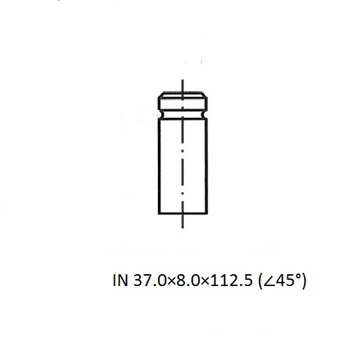 Z17497R — ZIKMAR — Engine valve