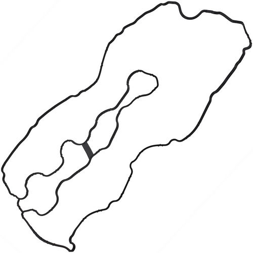 Z19391R — ZIKMAR — Valve cover gasket set