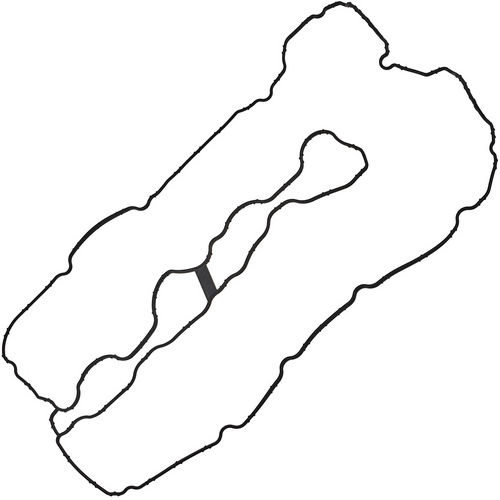 Z19392R — ZIKMAR — Valve cover gasket set