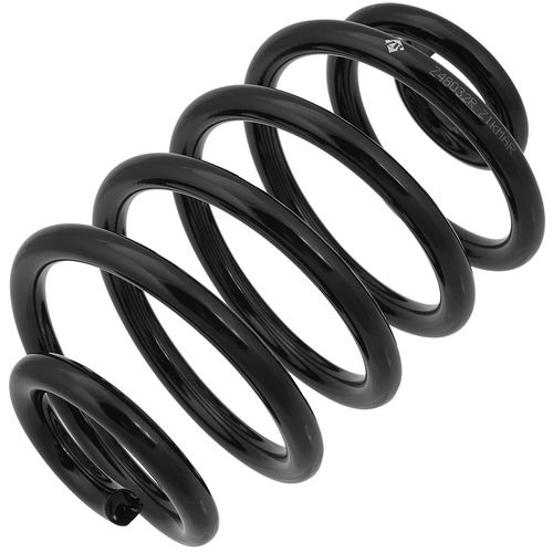 Z48032R — ZIKMAR — Suspension Spring, Rear