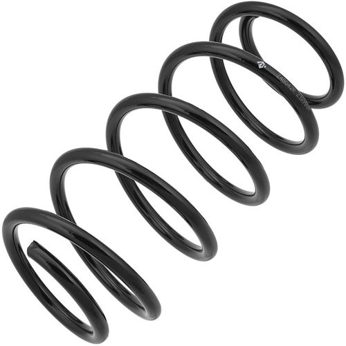 Z48042R — ZIKMAR — Suspension Spring, Front