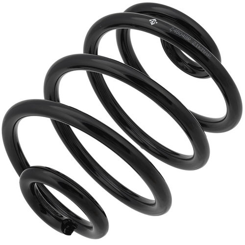 Z48048R — ZIKMAR — Suspension Spring, Rear
