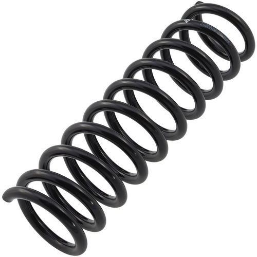 Z48061R — ZIKMAR — Suspension Spring, Rear