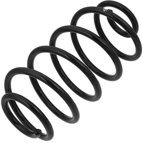 Z48074R — ZIKMAR — Suspension Spring, Rear