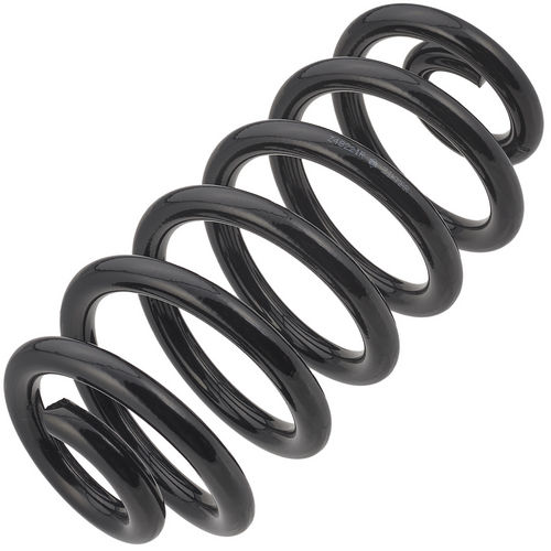 Z48221R — ZIKMAR — Suspension Spring, Rear