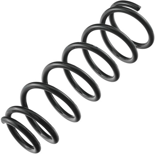 Z48480R — ZIKMAR — Suspension Spring, Rear
