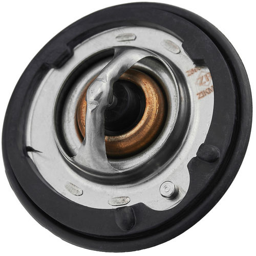 Z69557R — ZIKMAR — Thermostat