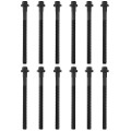 Z16556R — ZIKMAR — Cylinder Head Bolts