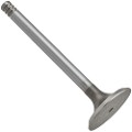 Z17499R — ZIKMAR — Engine valve