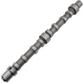 Z18013R — ZIKMAR — Camshaft