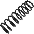 Z48013R — ZIKMAR — Suspension Spring, Rear