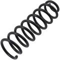 Z48014R — ZIKMAR — Suspension Spring, Rear