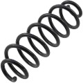 Z48017R — ZIKMAR — Suspension Spring, Rear