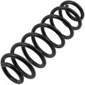 Z48019R — ZIKMAR — Suspension Spring, Rear