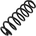 Z48027R — ZIKMAR — Suspension Spring, Rear