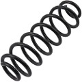 Z48035R — ZIKMAR — Suspension Spring, Rear