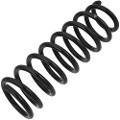 Z48057R — ZIKMAR — Suspension Spring, Rear