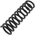 Z48061R — ZIKMAR — Suspension Spring, Rear