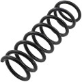 Z48062R — ZIKMAR — Suspension Spring, Rear
