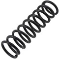 Z48064R — ZIKMAR — Suspension Spring, Rear