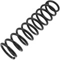 Z48076R — ZIKMAR — Suspension Spring, Rear