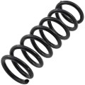 Z48078R — ZIKMAR — Suspension Spring, Rear