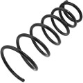 Z48079R — ZIKMAR — Suspension Spring, Rear