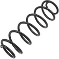 Z48081R — ZIKMAR — Suspension Spring, Rear
