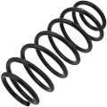 Z48101R — ZIKMAR — Suspension Spring, Front