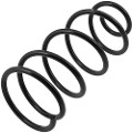 Z48102R — ZIKMAR — Suspension Spring, Front