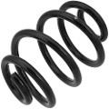 Z48109R — ZIKMAR — Suspension Spring, Rear