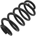 Z48115R — ZIKMAR — Suspension Spring, Rear