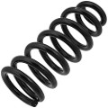 Z48116R — ZIKMAR — Suspension Spring, Front