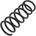 Z48141R — ZIKMAR — Suspension Spring, Rear