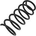 Z48167R — ZIKMAR — Suspension Spring, Rear