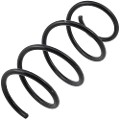 Z48169R — ZIKMAR — Suspension Spring, Front