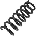 Z48172R — ZIKMAR — Suspension Spring, Front