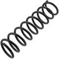 Z48176R — ZIKMAR — Suspension Spring, Rear
