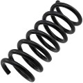 Z48228R — ZIKMAR — Suspension Spring, Rear