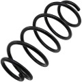 Z48238R — ZIKMAR — Suspension Spring, Rear