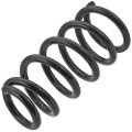 Z48262R — ZIKMAR — Suspension Spring, Rear