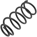 Z48282R — ZIKMAR — Suspension Spring, Rear