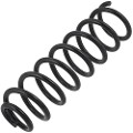 Z48295R — ZIKMAR — Suspension Spring, Front