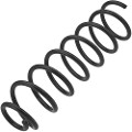Z48450R — ZIKMAR — Suspension Spring, Rear