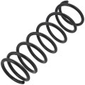Z48457R — ZIKMAR — Suspension Spring, Rear