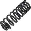 Z48469R — ZIKMAR — Suspension Spring, Rear