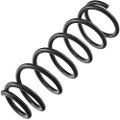 Z48480R — ZIKMAR — Suspension Spring, Rear