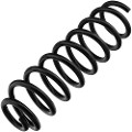 Z48512R — ZIKMAR — Suspension Spring, Front