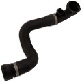 Z68254R — ZIKMAR — Radiator Hose