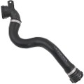 Z71651R — ZIKMAR — Lower radiator hose